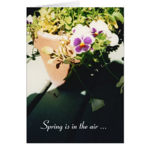 Cartão Pansias de Primavera Potted