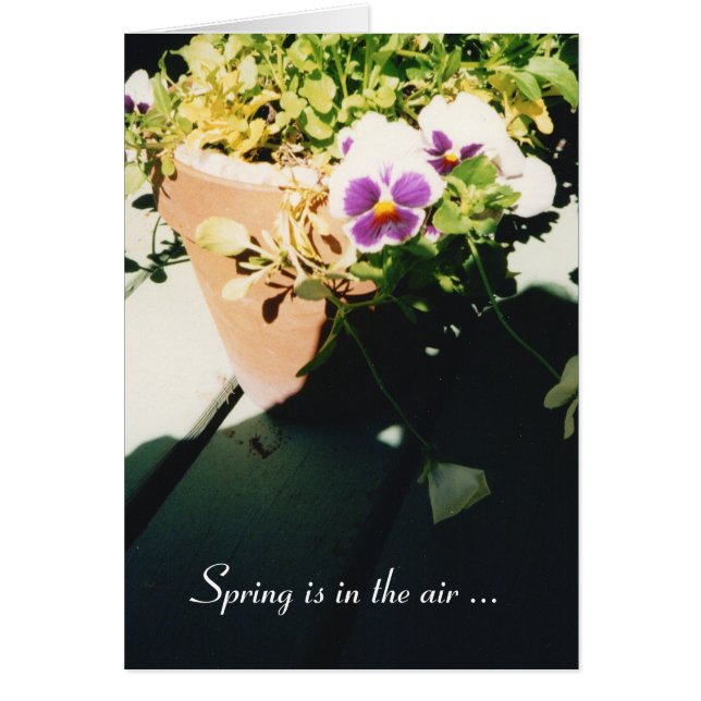 Cartão Pansias de Primavera Potted (Frente)