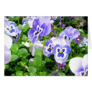 Cartão Pansies de março