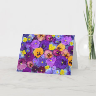 Cartão Pansy flowers floating in bird bath with dew