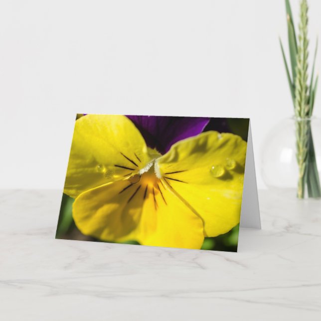 Cartão Pansy Greeting Card - Blank (Frente)