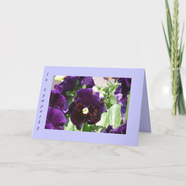 Cartão Pansy Sympathy card (Frente)