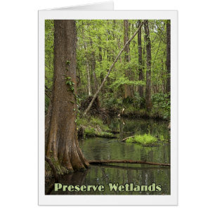 Cartão Pantanais da conserva