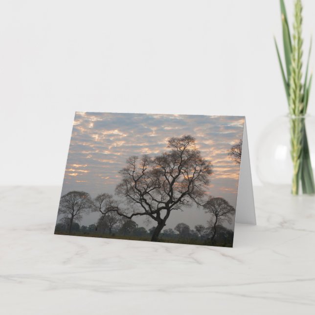 Cartão Pantanal Wetlands | América do Sul, Brasil (Frente)