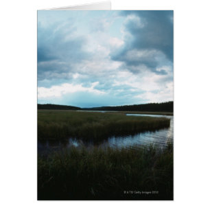 Cartão Pântano de sal