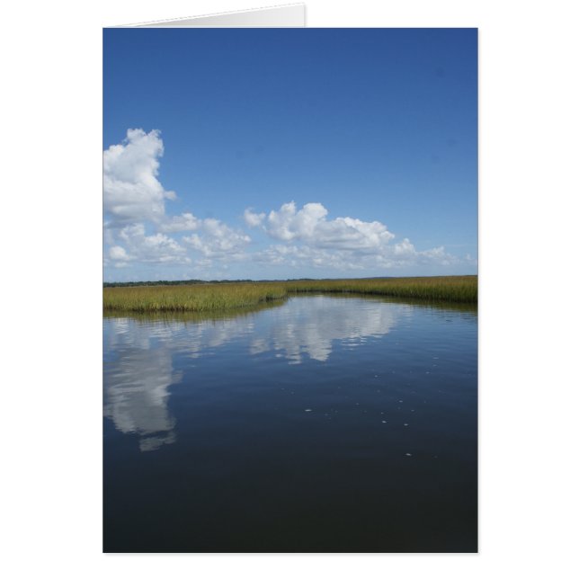 Cartão Pântano maduro (Frente)