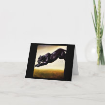 Pantera Negra (1) Gato Selvagem