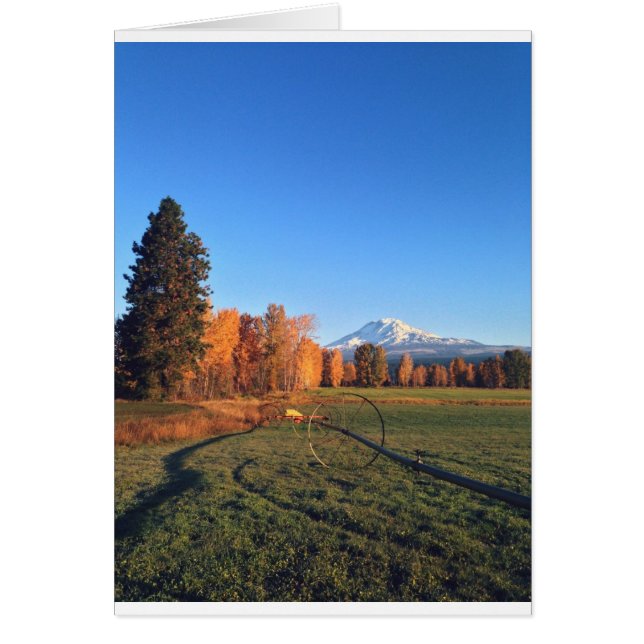 Cartão Pântula das Montanhas (Frente)