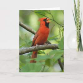 Cartão Papá Cantando!