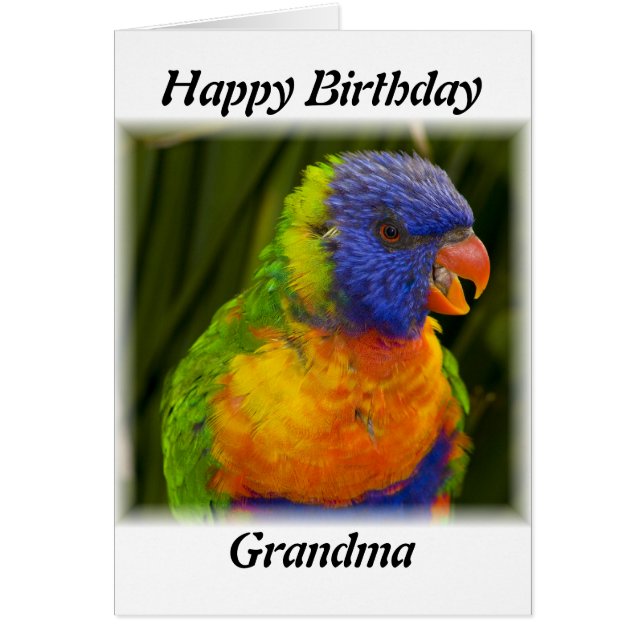 Cartão papagaio (Frente)