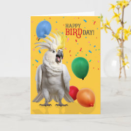 Cartão Papagaio Cacatua Engraçado Humor de Aniversário