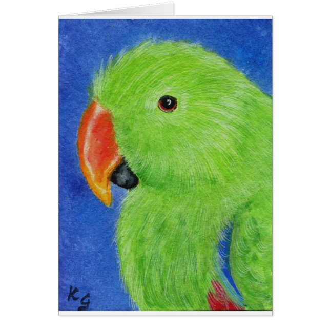 Cartão Papagaio de Eclectus (Frente)