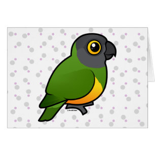 Cartão Papagaio de Senegal