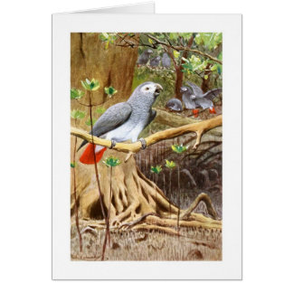 Cartão Papagaio do cinza africano