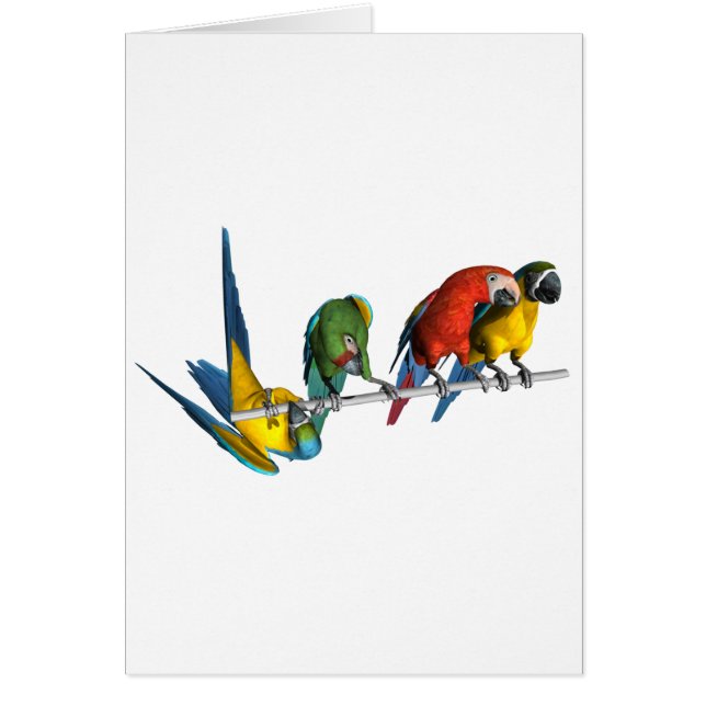 Cartão Papagaio do Macaw (Frente)