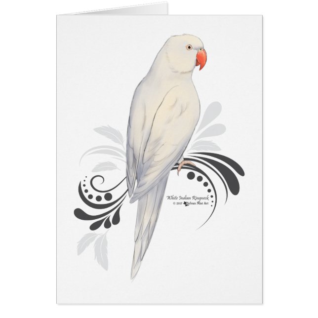 Cartão Papagaio-do-pescoço-branco (Frente)