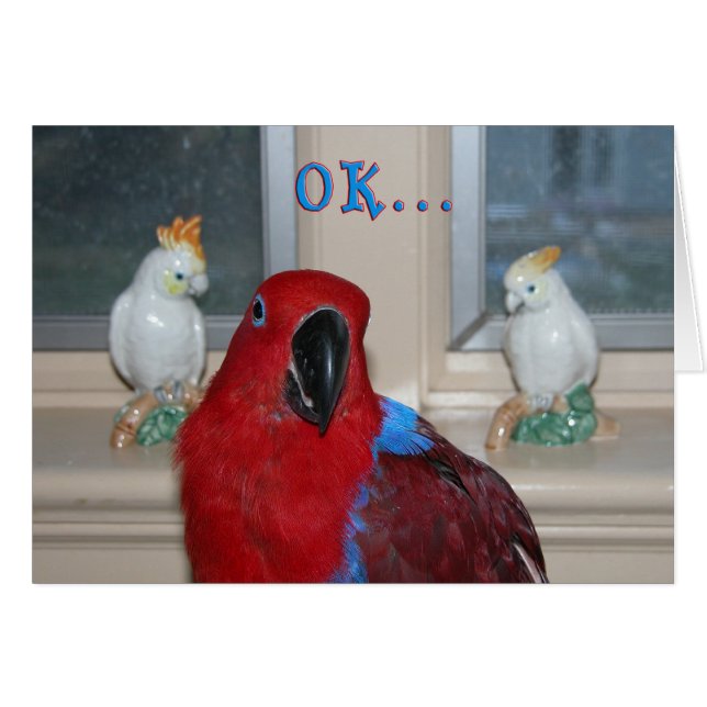 Cartão Papagaio temático (Frente Horizontal)