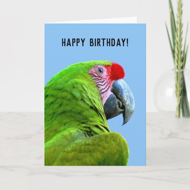 Cartão Papagaio Verde Ara Militaris (Frente)
