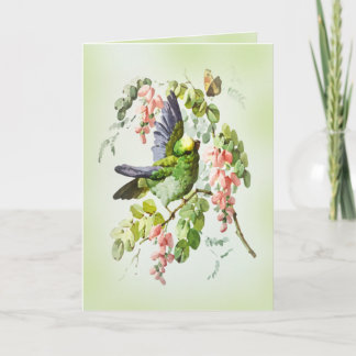 Cartão Papagaio Verde e Flor de Acácia Rosa Antigo
