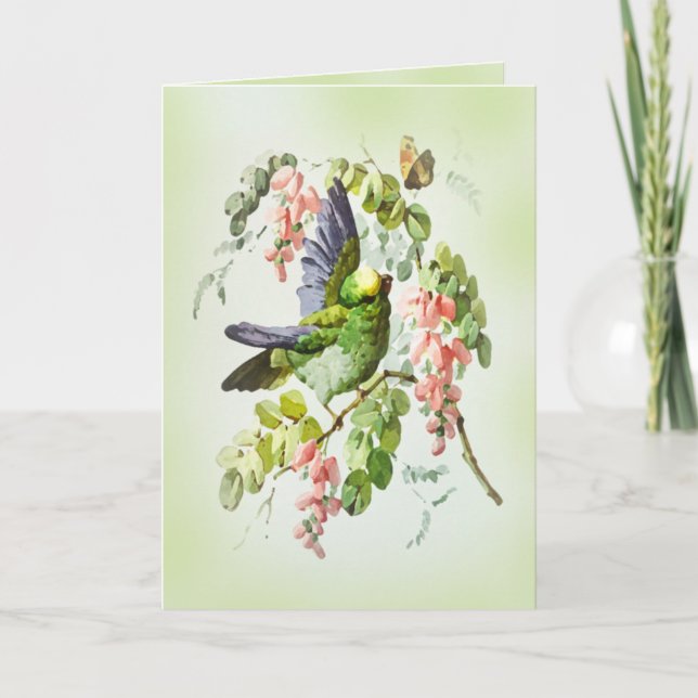 Cartão Papagaio Verde e Flor de Acácia Rosa Vintage (Frente)