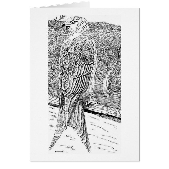 Cartão Papagaio vermelho (Frente)