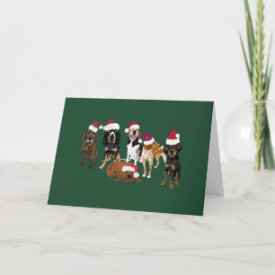Cartão Papais noeis coonhounds
