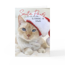 Papais noeis Paws Estão Chegando Ao Natal Da Cidad