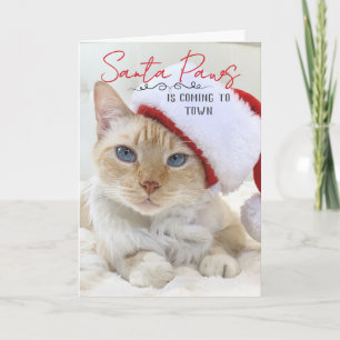 Cartão Papais noeis Paws Estão Chegando Ao Natal Da Cidad