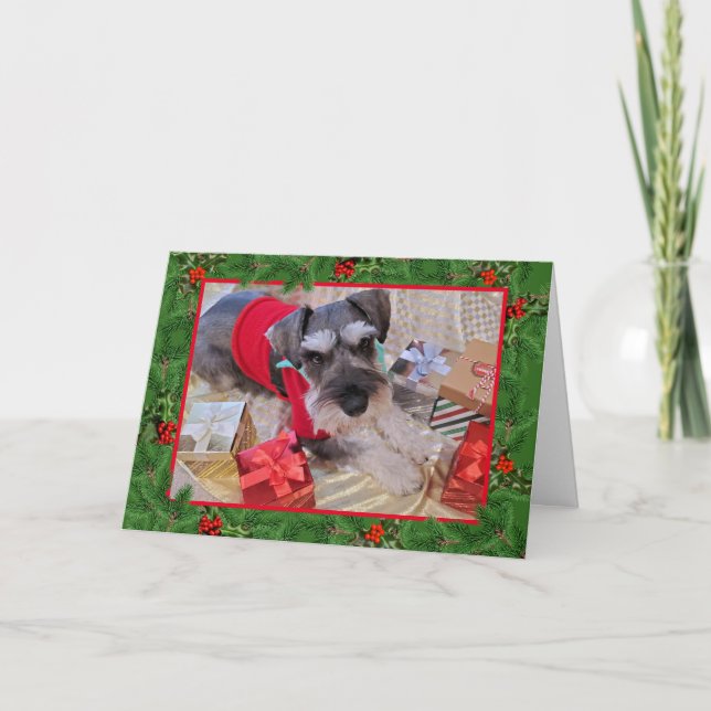 Cartão Papais noeis Schnauzer com Holly Christmas Card (Frente)