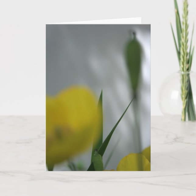 Cartão Papas e sombra 4 Fotografia Floral Saudação C (Frente)