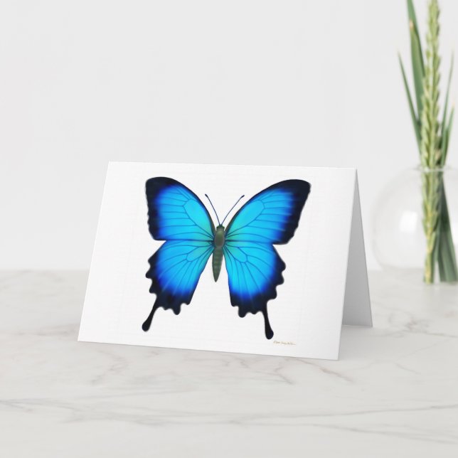 Cartão Papilio Ulysses Butterfly Card (Frente)