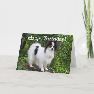 Cartão Papillon Birthday or Greeting Card