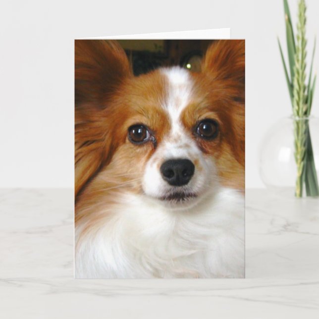 Cartão Papillon Greeting Card (Frente)