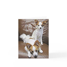 Papillon Puppies 6 Months Note Card