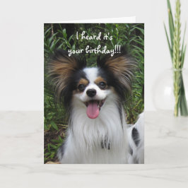 Cartão Papillon Sloppy Kisses Birthday Card