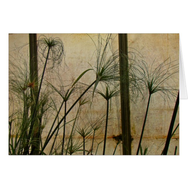 Cartão Papiro (Frente Horizontal)