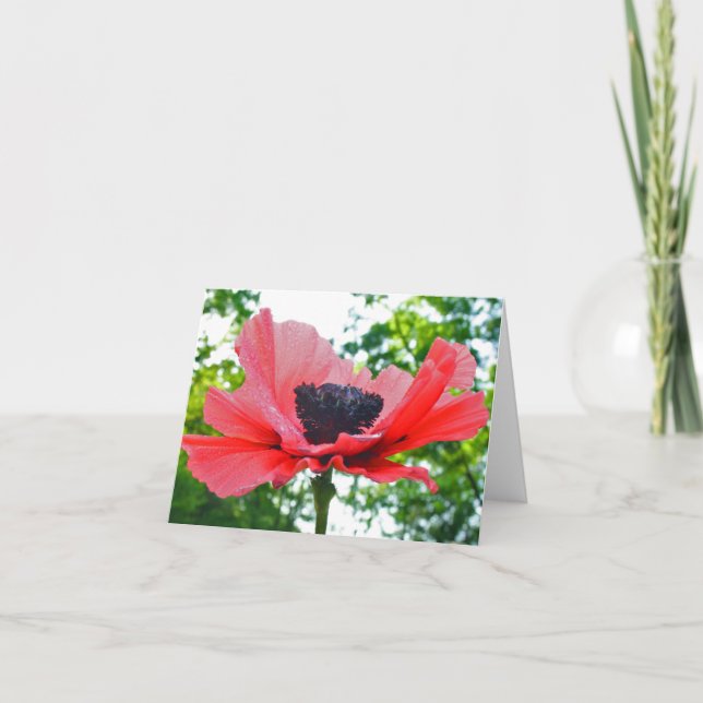 Cartão Papoila Notecard vazio (Frente)