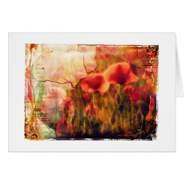 Cartão papoilas (Frente Horizontal)