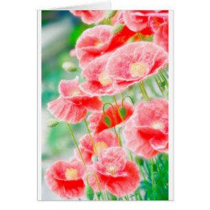 Cartão Papoilas vermelhas