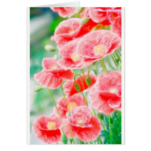 Cartão Papoilas vermelhas (Frente)
