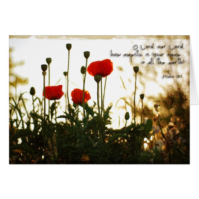 Cartão Papoilas vermelhas no por do sol (Frente Horizontal)
