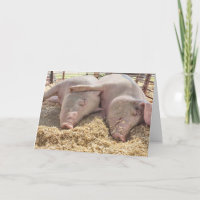 Par Aniversário De Suínos Na Caneta