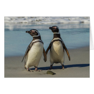 Cartão Par de pinguins na praia