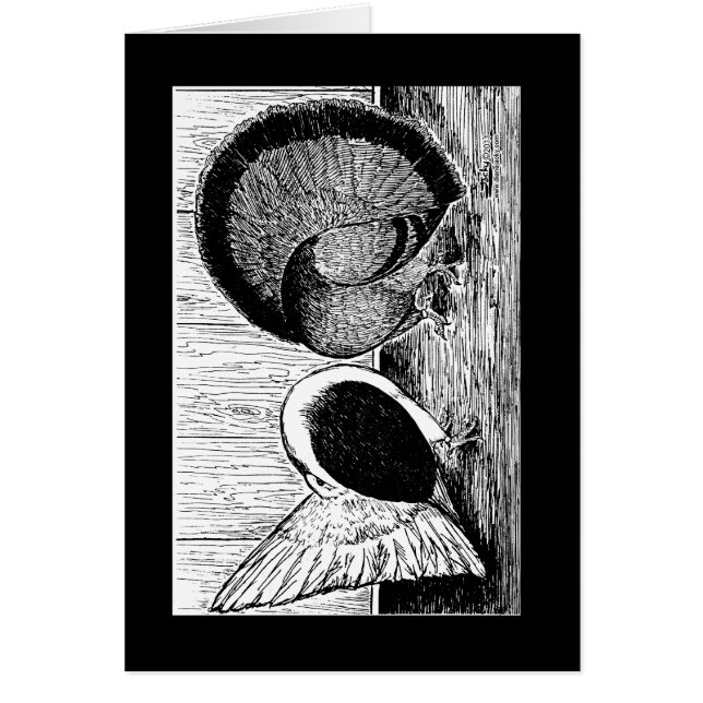 Cartão Par Fantail (Frente)