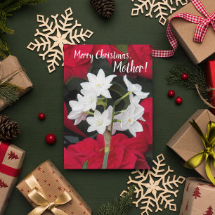 Cartão Para a Mãe Poinsettias e Paperwhites Natal
