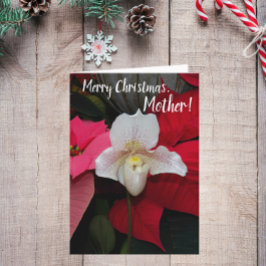 Cartão Para a Mãe Vermelha Poinsettias e Orquídea de Nata
