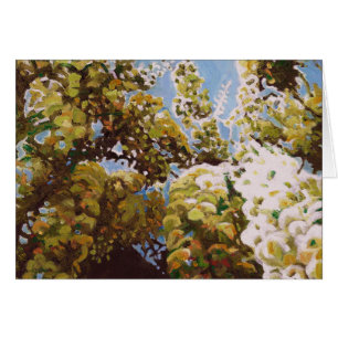 Cartão Para a wisteria 2011