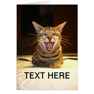 Cartão para alguma ocasião