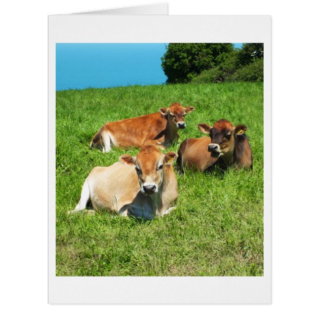 Cartão para animais de vacas de Jersey (Frente)
