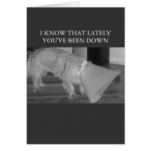 Cartão para baixo nas descargas